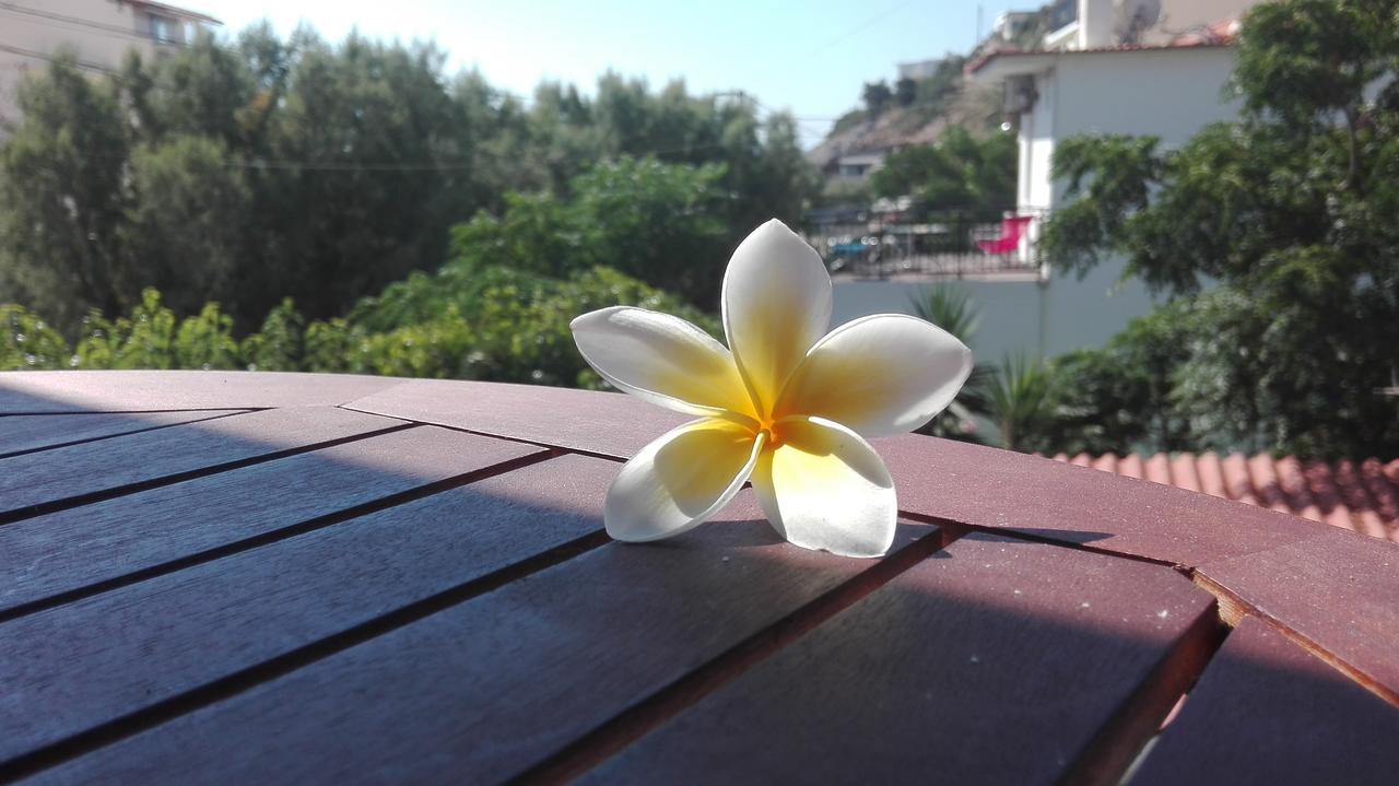 Plumeria Flowery Apartment Agios Kirykos  Luaran gambar